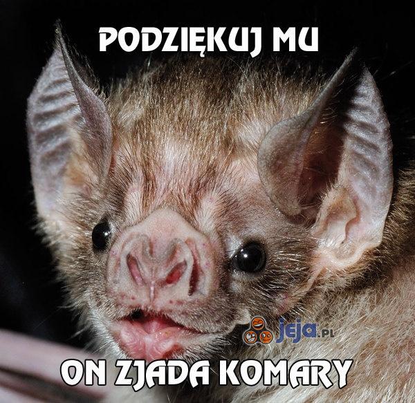 Podziękuj mu