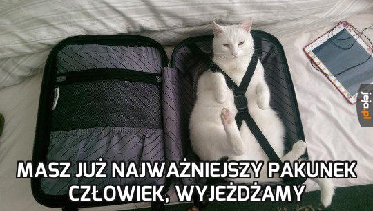 Kot bagażowy