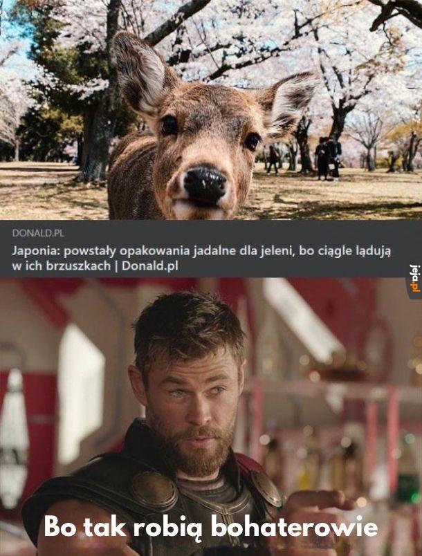 Inne podejście do ekologii