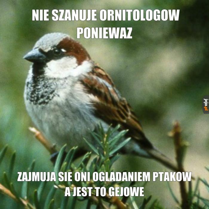 To właśnie przez ornitologów nie mam polskich znaków