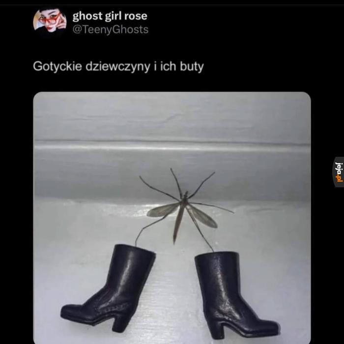 Lobią duże