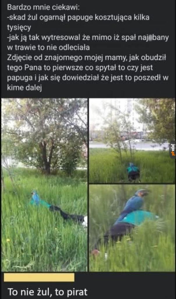Prawie to samo