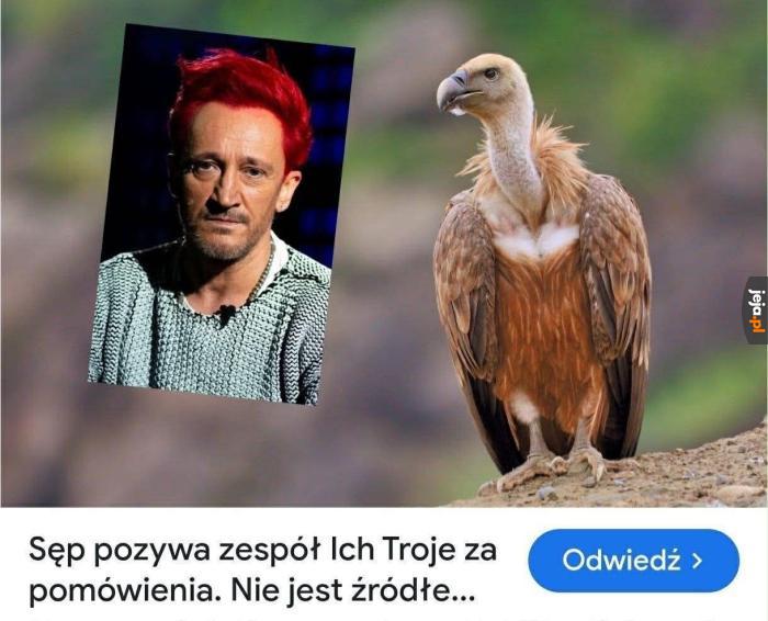Ty sępie miłości jeden
