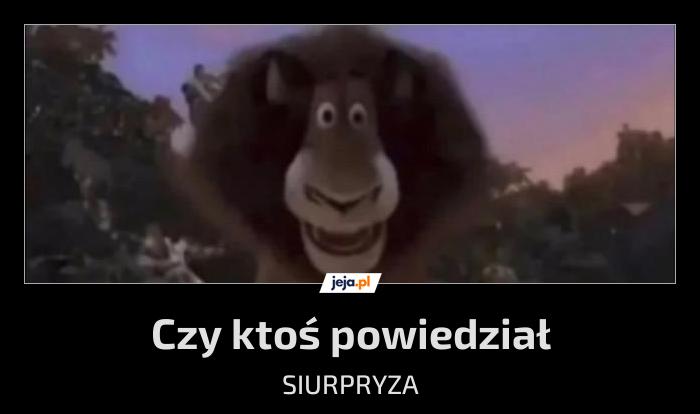 Rozkręcamy imprezę