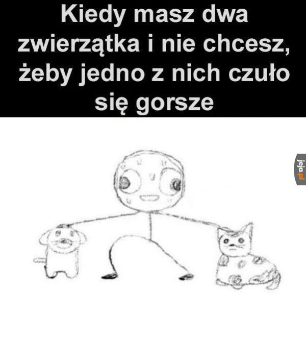 Tyle samo głaskanka dla wszystkich!