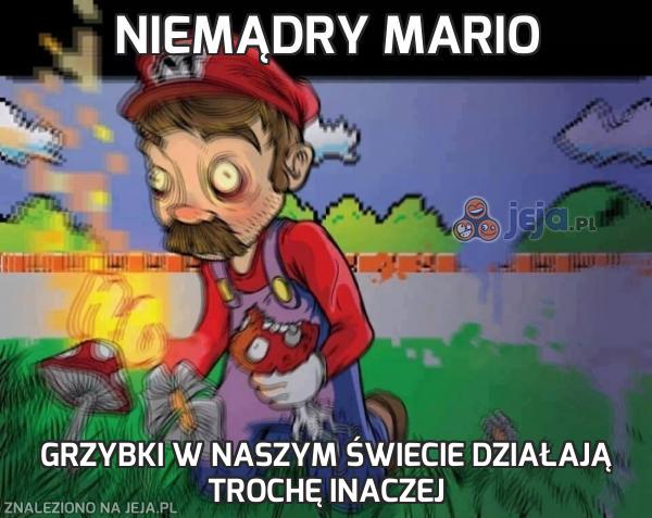 Niemądry Mario