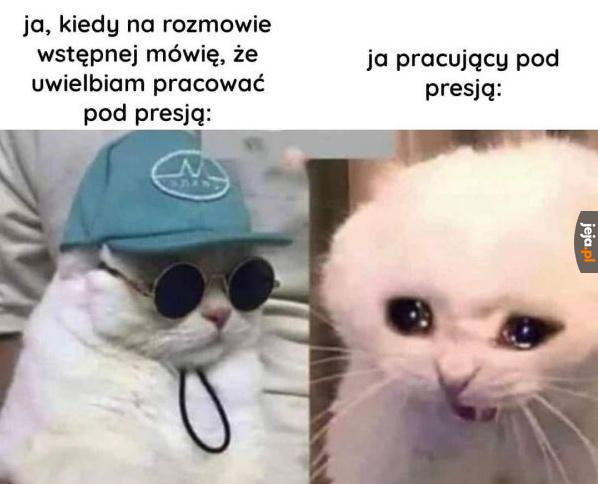 Rzeczywistość jest brutalna