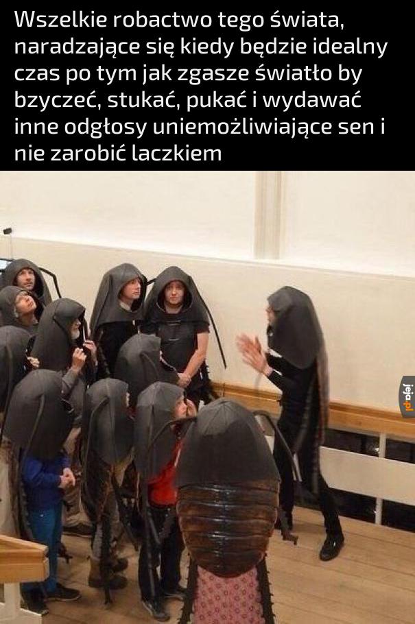 Pora na kolejną noc naszego musiacalu pt. ,,Wal się na ryj"
