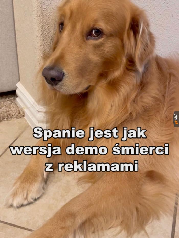 Co noc sprawdzamy jak to jest nie żyć