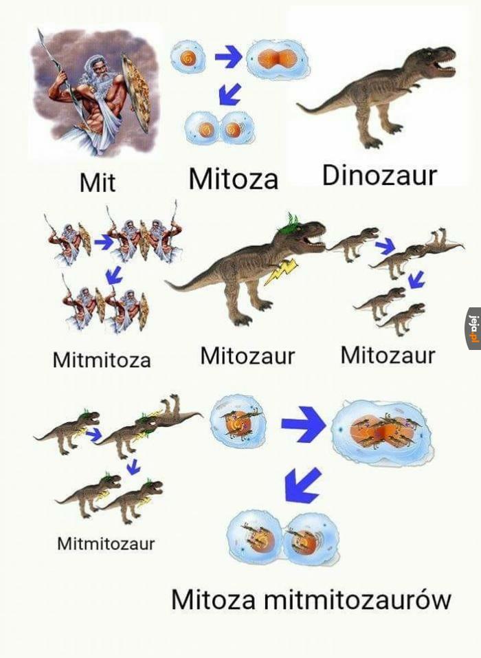 Mitozaur
