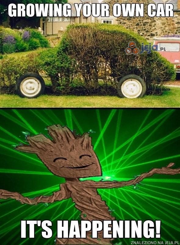 Groot hoduje samochód