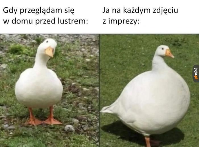Bóg mnie nienawidzi