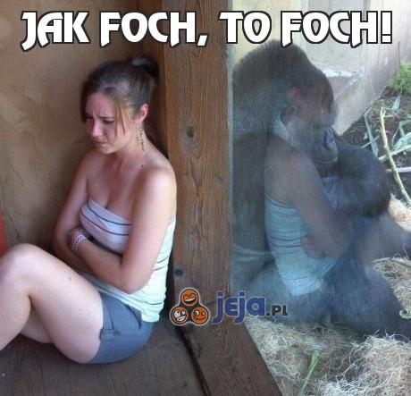 Jak foch, to foch!