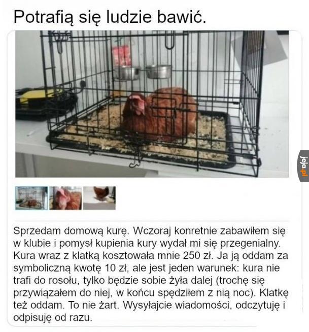 Potrafią się ludzie bawić