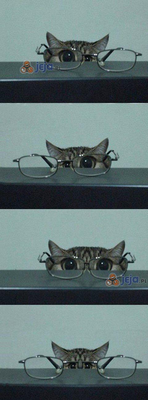 Koteł i okulary