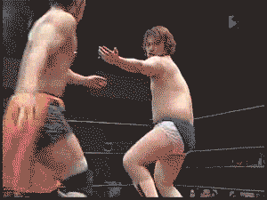 Profesjonalny, japoński wrestling