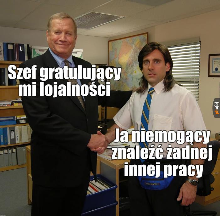 Nigdzie się nie ruszam szefuńciu