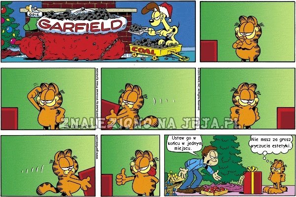 Garfield i prezent