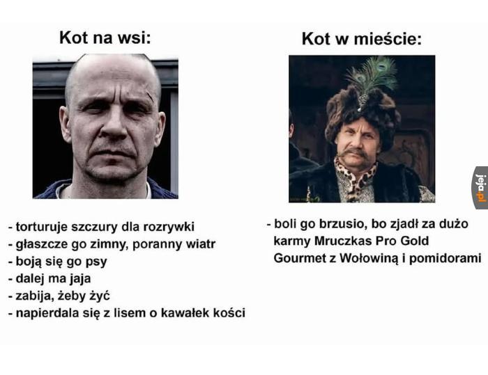 Dwa różne zwierzaki, powiadam