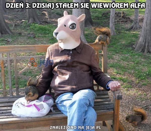 To ja tu rządzę!