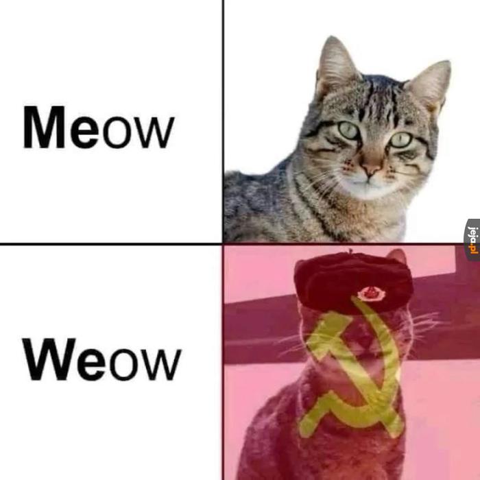 Wspólnota