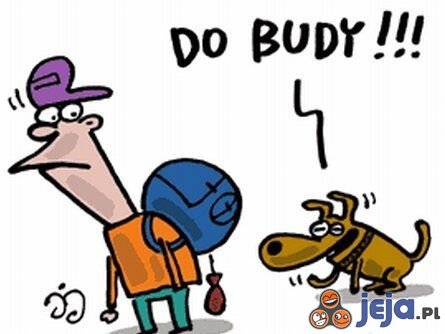 Do budy