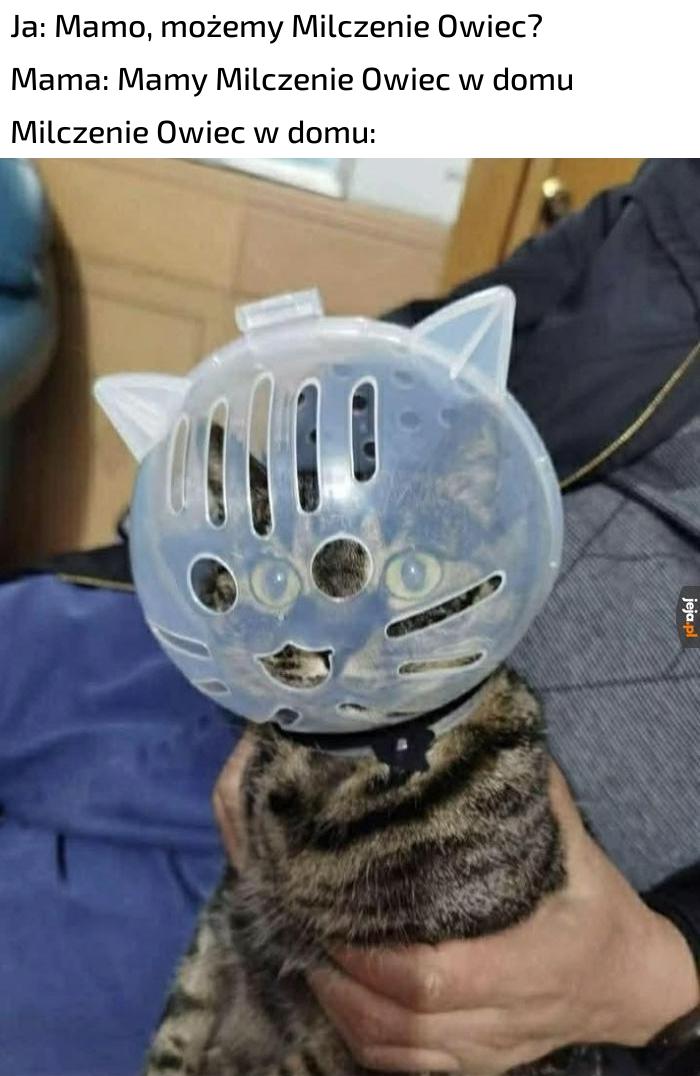 Chyba pobrałem nie tę wersję