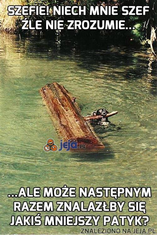 Szefie, trochę przegięcie!