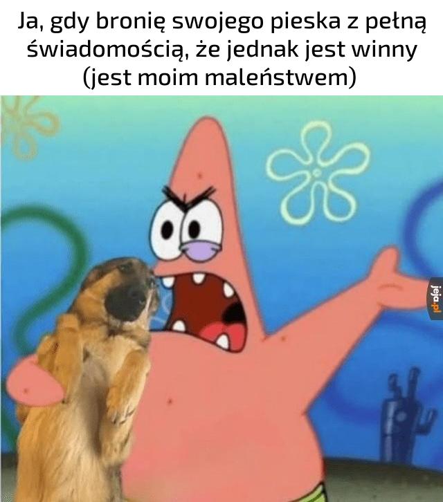 To Tusk narzygał w przedpokoju