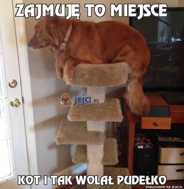 Zajmuję to miejsce