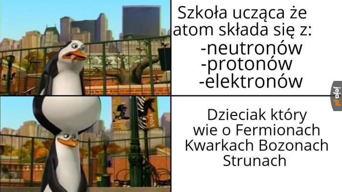 Dzień w dzień czytał Wikipedię, oto wynik: