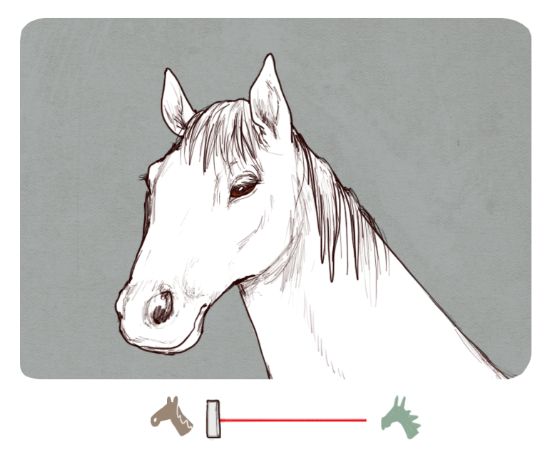 Smok czy koń?