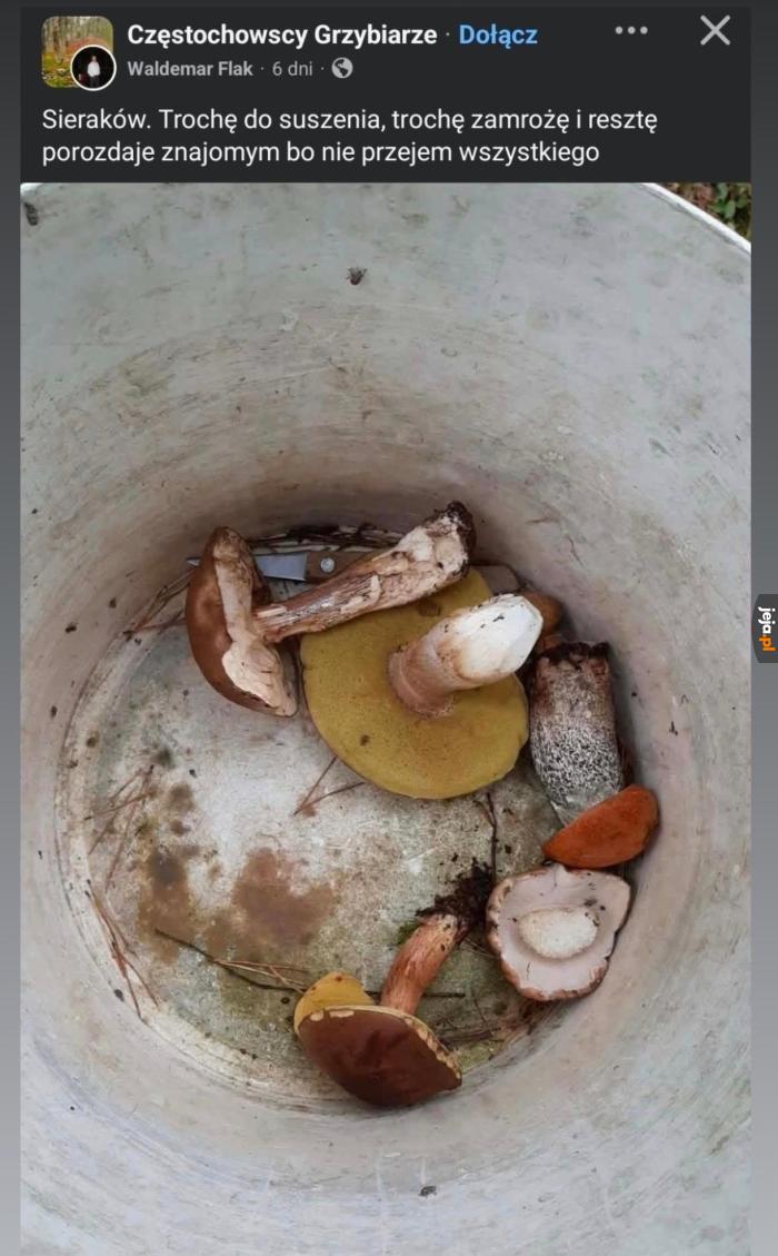 Zdaję sobie sprawę, że wzbudzam powszechny podziw i zazdrość