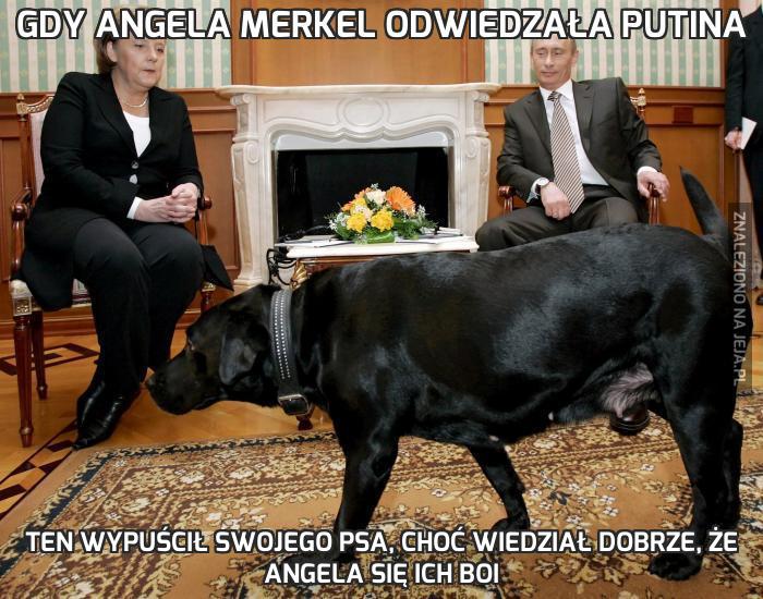 Gdy Angela Merkel odwiedzała Putina