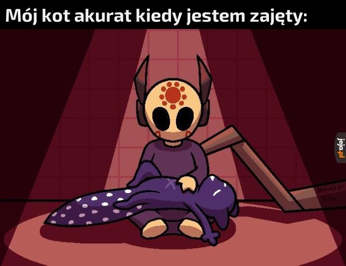 Włóczniokotek