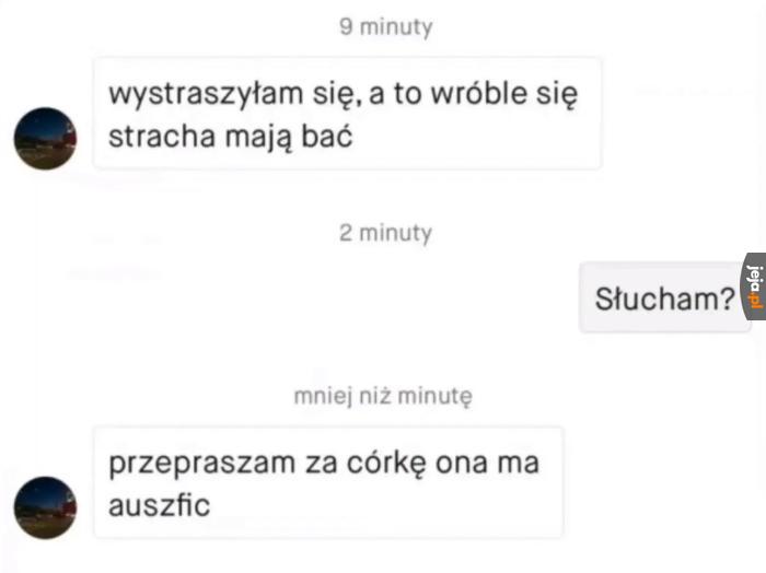 Co ma?