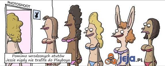 Króliczki Playboya