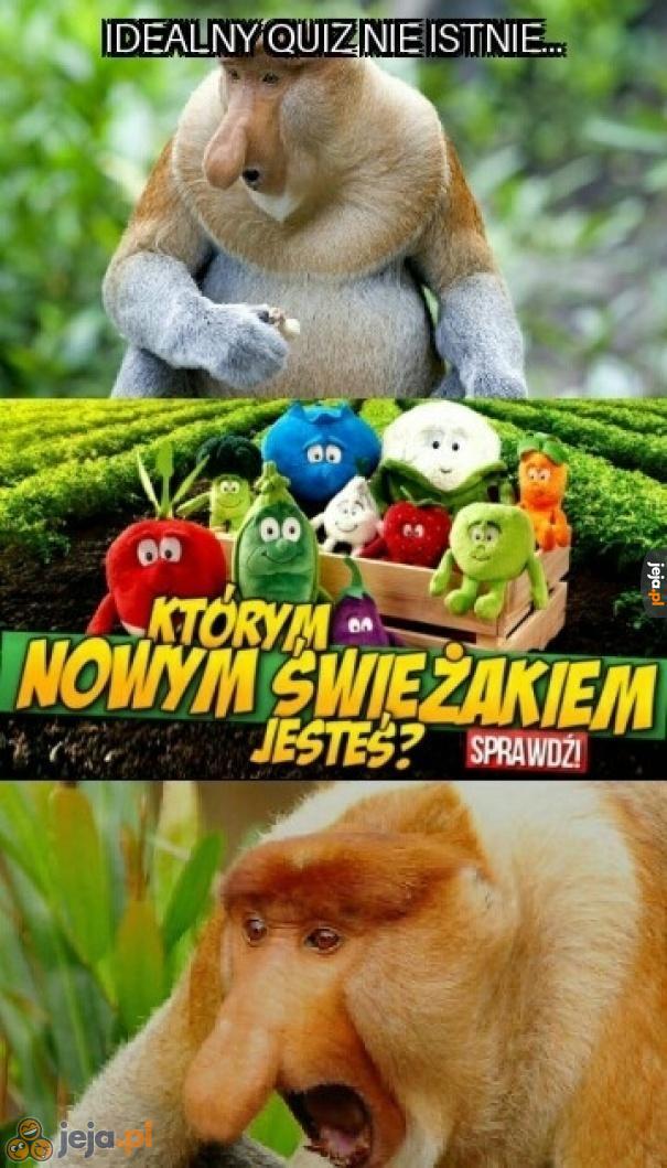 Wypełniam jeszcze dziś!