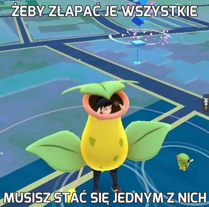 Żeby złapać je wszystkie