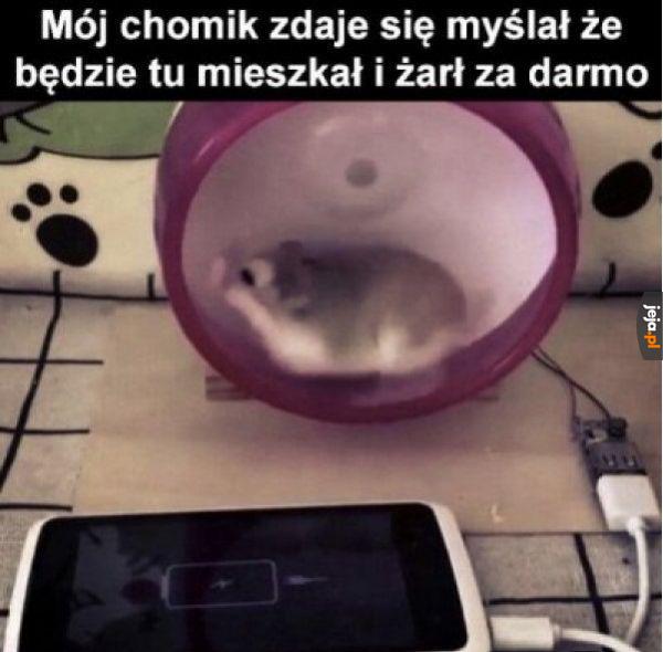 Do roboty!