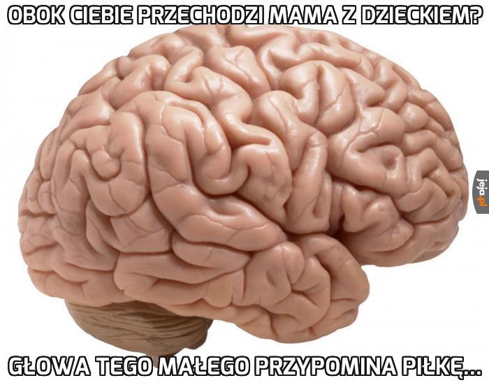 Mózgu, WTF?!
