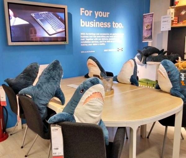 Prawdziwe rekiny biznesu