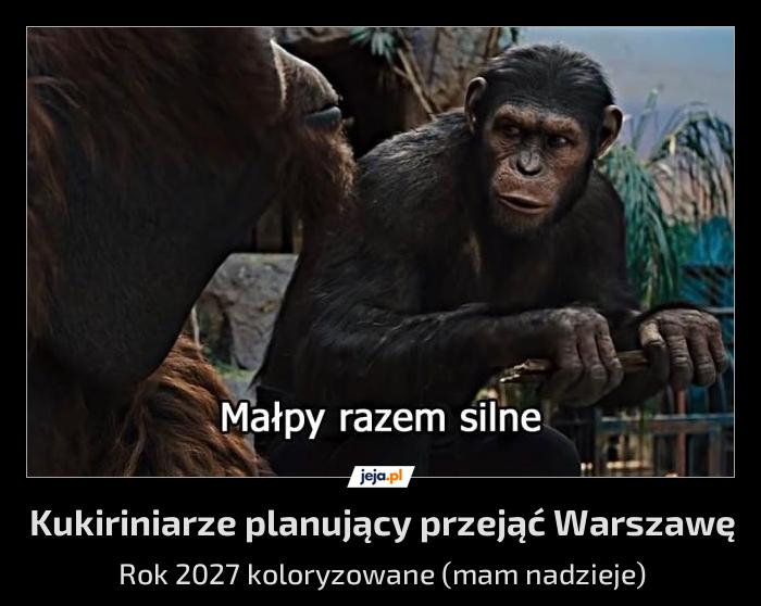 Już pewnie to planują