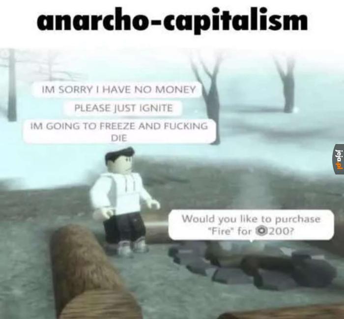 Anarcho-kapitalizm