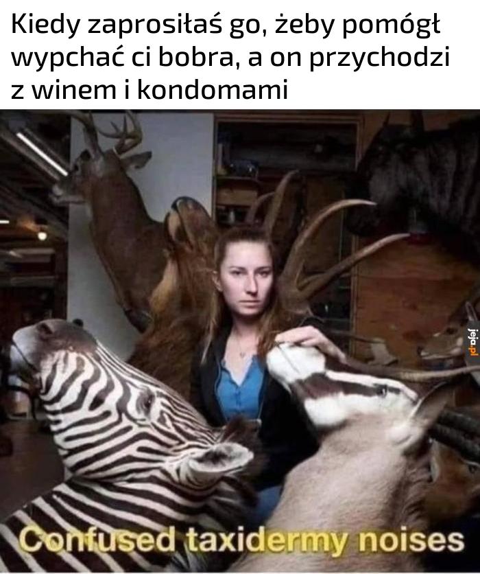 Będziesz wypychał bobra winem i kondomami? Powaliło cię?