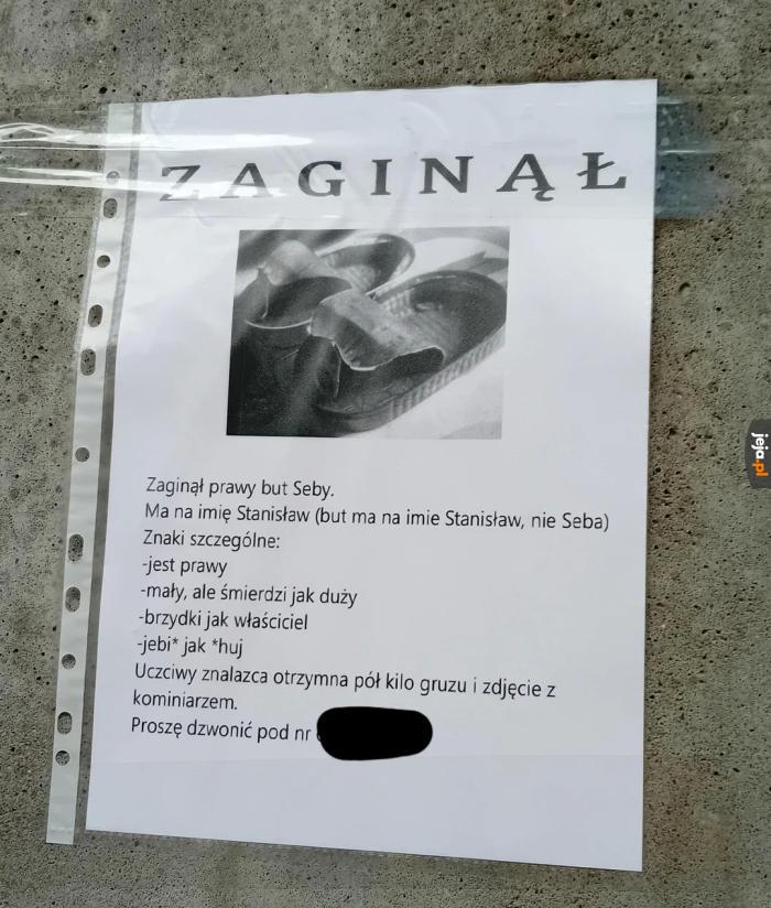 Widział gdzieś ktoś go?