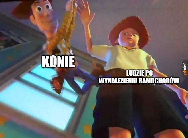 Populacja wróbli też się zmniejszyła