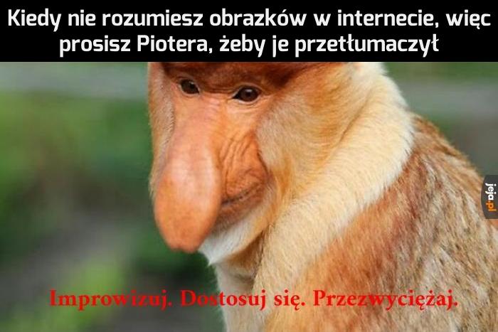 Synek się spisał