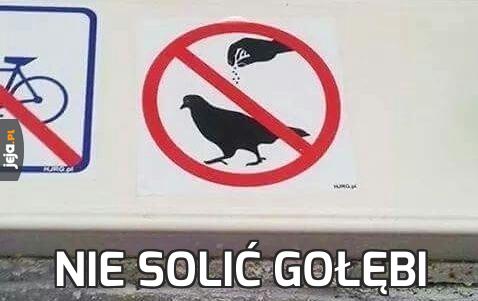 Nie solić gołębi
