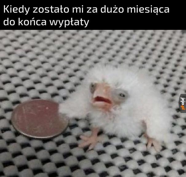 Kolacje są dla słabych